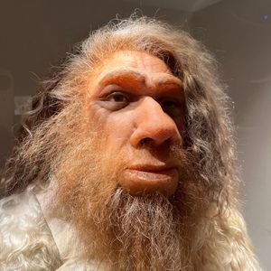 Meet your Posher, Timothy